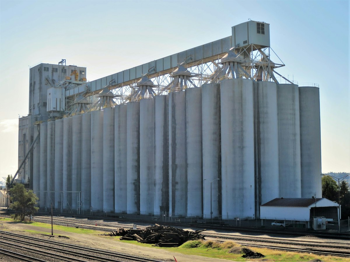 Big-bags, sacos y film: el plástico que deja una nave agroganadera y adónde va cada uno